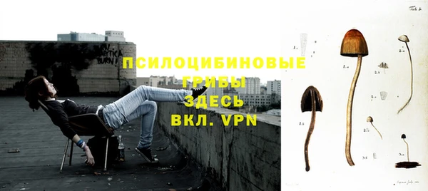 дурь Арсеньев